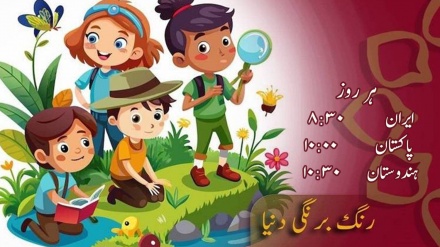 بچوں کا خصوصی پروگرام رنگ برنگی دنیا