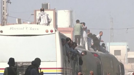 ژمارێک لە دیلە ئازادکراوە فەلەستینییەکان ئەندامانی جەستەیان لەدەستداوە