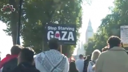 Xezze serkeftiya meydana Berxwedanê