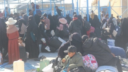 گەڕانەوەی ٨٤٠ پەنابەری عێراقی لە کەمپی هۆل بۆ وڵاتەکەیان
