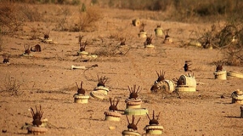 سێ هەزار کێڵگەی مین هەیە لە هەرێمی کوردستانی عێراقدا