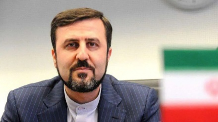  ایران کے خلاف ناراضگی اور دشمنی کی کیا ہے اصلی وجہ؟ نائب وزیر خارجہ نے بتائی وجہ