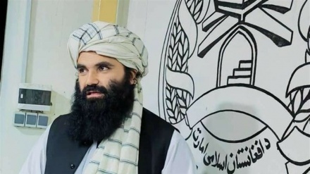 طالبان: فلسطین نیز روزی جشن آزادی خواهد گرفت