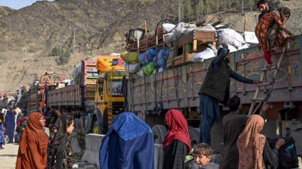 د کډوالو لپاره ۴۰ زره کسیزه  پنډغالی 