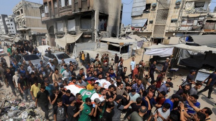 فلسطینیانو څخه نړیوال ملاتړ 