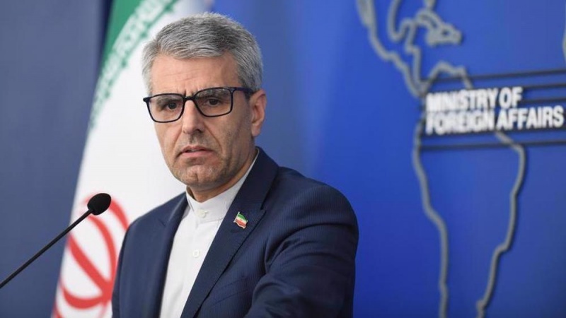 İİR XİN sözçüsünün mətbuat konfransı