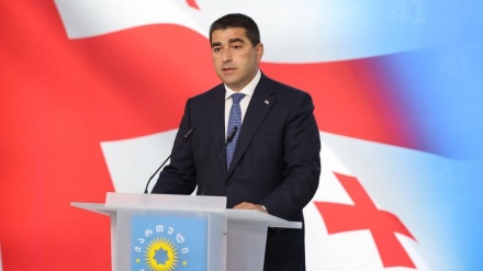 “Avropalılar Tbilisidəki çevriliş cəhdini pisləmədilər”