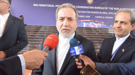 ناوابستہ تحریک نے اسنیپ بیک کو مسترد کردیا: وزیر خارجہ عراقچی
