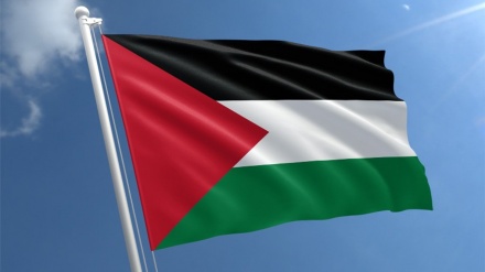 سلامتی کونسل میں ترکیہ کی فلسطین کی حمایت، مکمل رکنیت کا مطالبہ