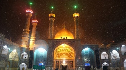 حضرت معصومہ (س) کی وفات کیسے ہوئی؟ شہادت یا مرض کی وجہ سے؟