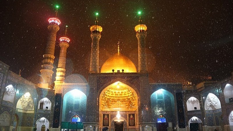 حضرت معصومہ (س) کی وفات کیسے ہوئی؟ شہادت یا مرض کی وجہ سے؟