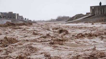 مکسیکو کې د سیلابونو له امله ۶۴ کسان وژل شوي 