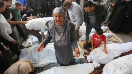 غزہ: گزشتہ 24 گھنٹے میں 63 فلسطینی شہید اور 227 زخمی