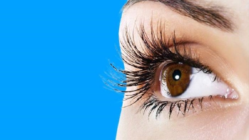 پارێزگاریکردن لە مانەوەی برژانگێکی تەندرووست - بەشی1