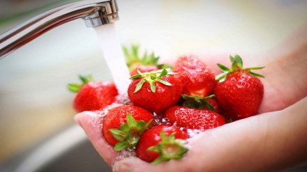 کیا تازہ پھلوں اور سبزیوں کو کھانے سے قبل دھونا چاہیے؟
