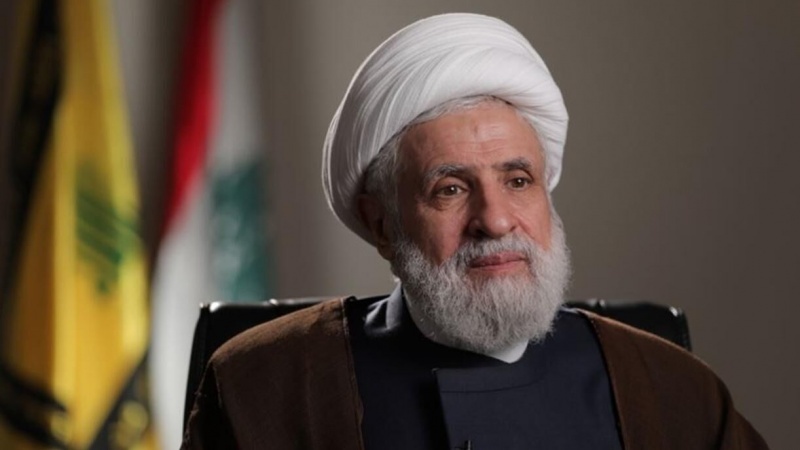 غاصب صیہونی حکومت پورے علاقے پر قبضہ کرنے کے درپے ہے؛ شیخ نعیم قاسم