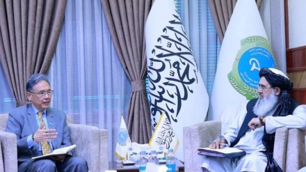 ادامه همکاری سازمان صحی جهان با وزارت صحت‌عامه افغانستان
