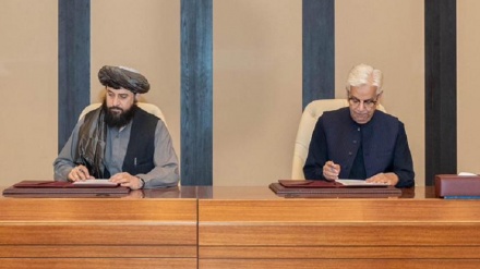پاکستان اور افغانستان کے درمیان جنگ بندی، باہمی سرزمین کے احترام پر اتفاق