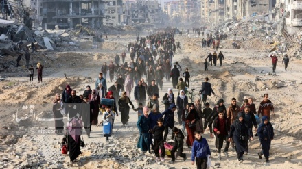 د صهیونیستانو منځ کې د ځان وژنې کچې لوړوالی