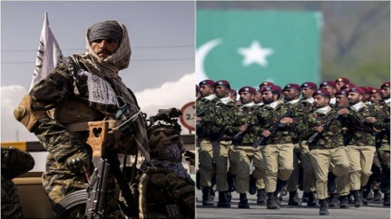 پاکستان اور افغانستان کے درمیان جھڑپیں جاری، دونوں کا ایک دوسرے کو نقصان پہنچانے کا دعویٰ