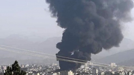 پاکستان  نے افغانستان کے ساتھ دو روزہ جنگ بندی پر اتفاق کی تصدیق کر دی 