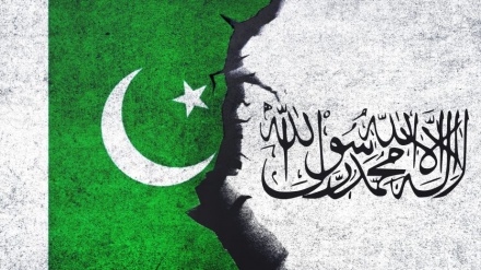 Pakistan ordusu Taliban qüvvələrinin ağır itkilər verdiyini iddia edir