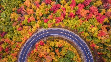 چالوس کی وادی میں خزاں کے رنگوں کا رقص