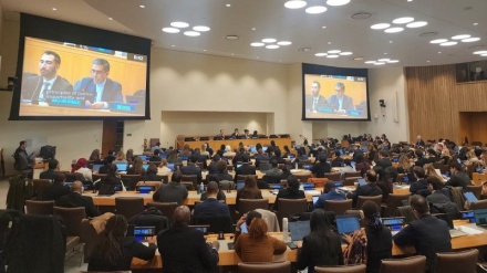 کینیڈا کی ایران مخالف قرارداد سیاسی اور تخریبی: اقوام متحدہ میں ایرانی مندوب