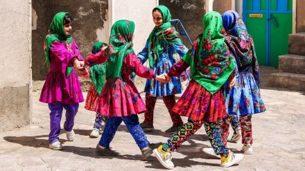 گوندی چێنێشتی خۆراسانی باشوور؛ مەڵبەندی ڕەنگەکان