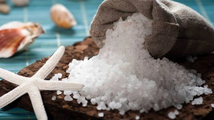 Pispor dibêjin; Xwêya deryayê bi mîkroban lewitî ye