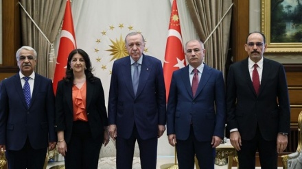 Nîgeraniya kurdên Turkiyê ji piroseya aşitiyê li vî welatî