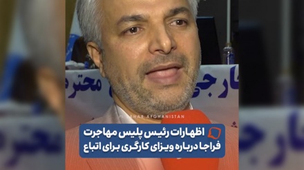 جزئیات تازه از شیوه‌نامه جدید ویزای کارگری برای اتباع خارجی در ایران از زبان رئیس پلیس مهاجرت