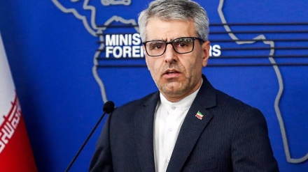 تاکید بر آرمان مقاومت در روز بین المللی همبستگی با ملت فلسطین