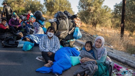 ۶۲ پناه غوښتونکي د پیسو ترلاسه کولو سره موافق دي