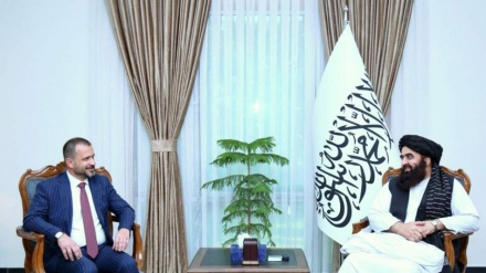 دیدار خداحافظی سفیر ترکیه با امیرخان متقی در کابل