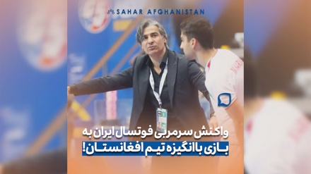 وحید شمسایی: افغانستان از ما باانگیزه‌تر بود