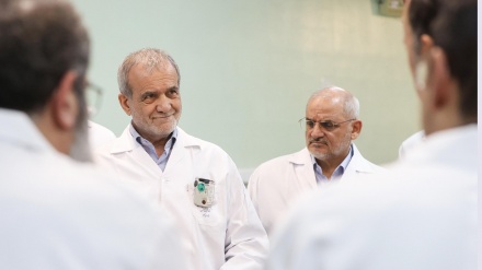 Amadebûna Serokkomar li Rêxistina Enerjiya Atomê