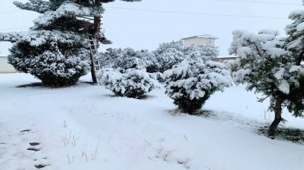 رشد شکننده اقتصادی در سایه فقر و بیکاری گسترده در کشور
