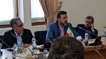 Xəzər dənizi məsələləri üzrə xüsusi komitənin ilk iclası keçirilib