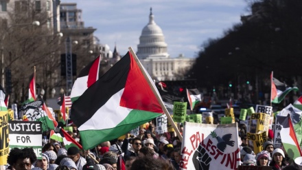 Bu real dəyişiklikdir, yoxsa ictimai təzyiqin təsiridir? - TƏHLİL