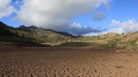 Miçiqîna zimhêrên avê yên Ewrûpayê