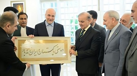 رایزنی رییس مجلس ایران با نخست وزیر پاکستان 