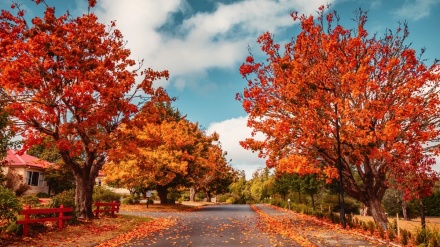  شمالی کرۂ ارض میں خزاں