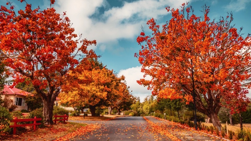  شمالی کرۂ ارض میں خزاں