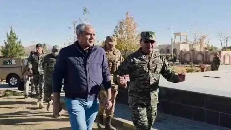 پاکستان: سرحد پار کے عناصر ملک میں حملے کر رہے ہیں، وزیر داخلہ محسن نقوی