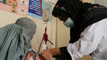 د ګوزڼ واکسین څلورم پړاو کمپاین پيل 