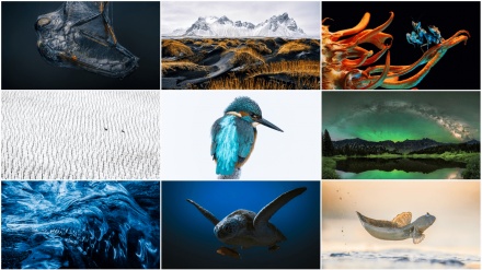 ورلڈ نیچر فوٹوگرافی