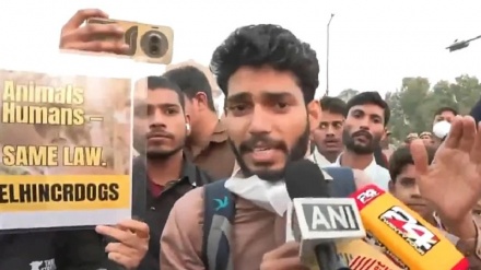 عام لوگ مر رہے ہیں، پھر بھی حکومت کوئی پالیسی نہیں بنا رہی ہے، دہلی میں آلودگی کے خلاف طلباء کا احتجاج
