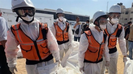 Xezze: Sîyonîstan organên laşê gellek şehîdên filistînî dizîne