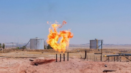 لە مانگێکدا زیاتر لە ٥ ملیۆن بەرمیل نەوتی هەرێم لە بەندەری جەیهان بارکراوە